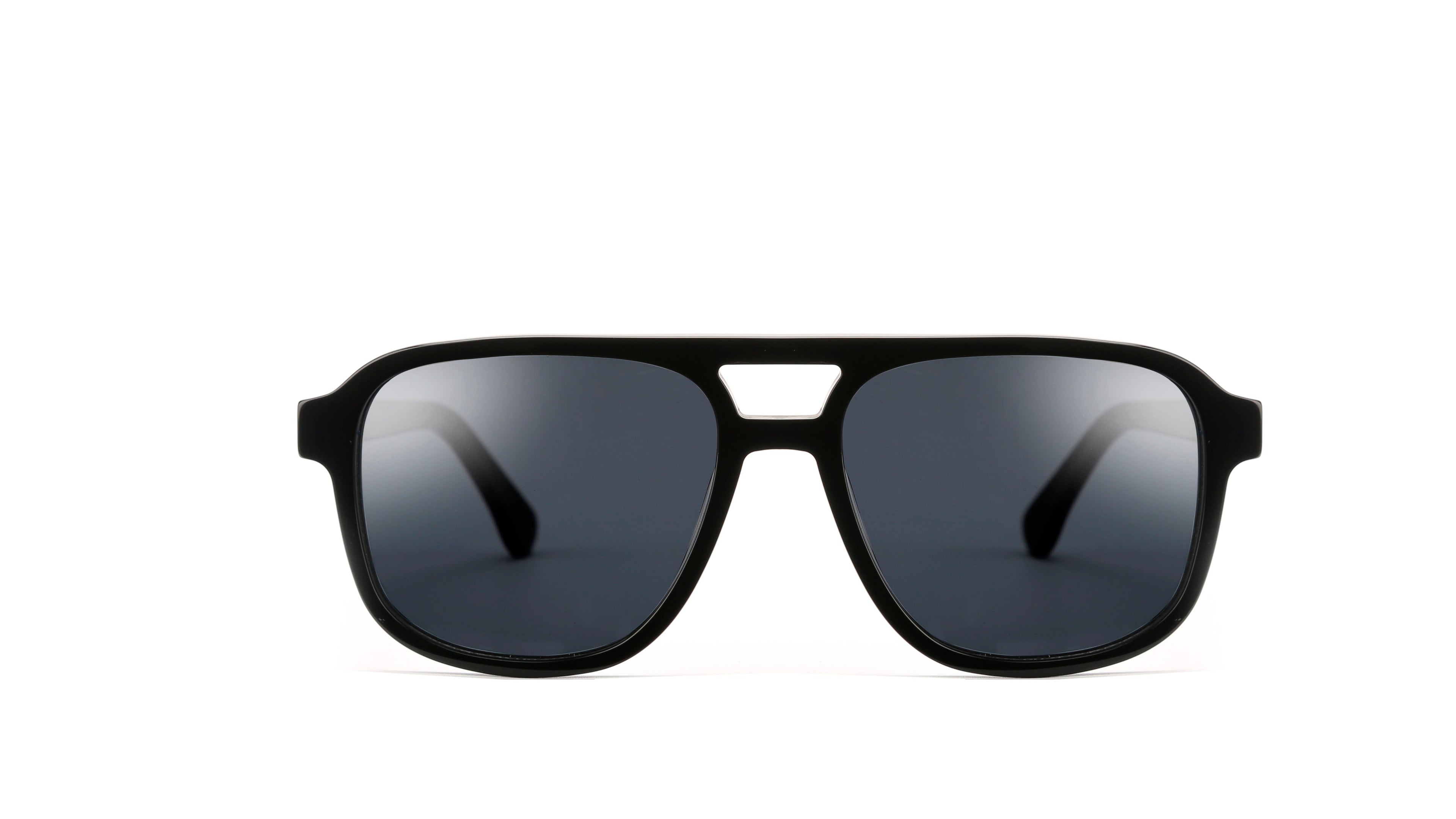 Unlimited Eyewear Lion