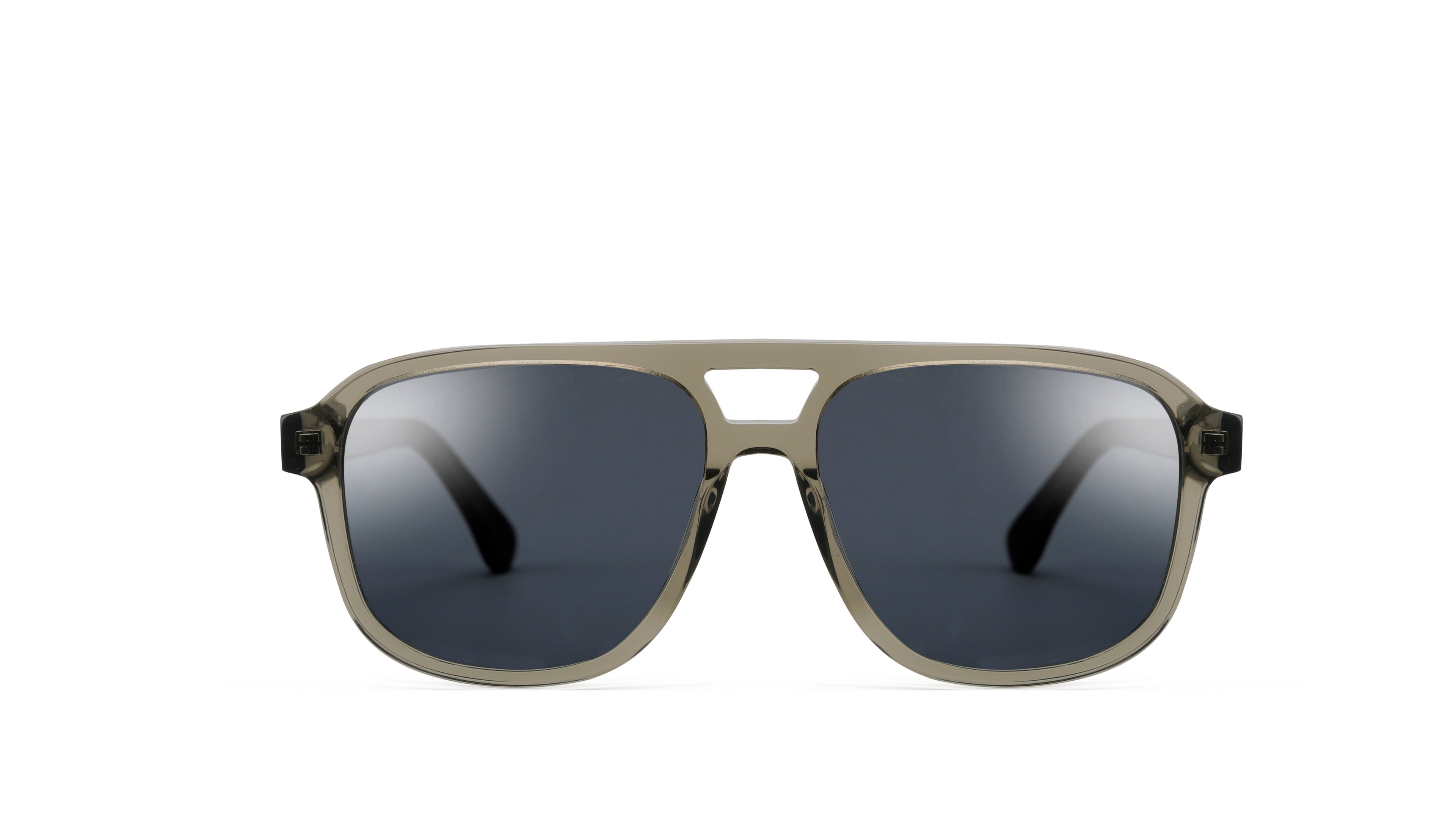 Unlimited Eyewear Lion