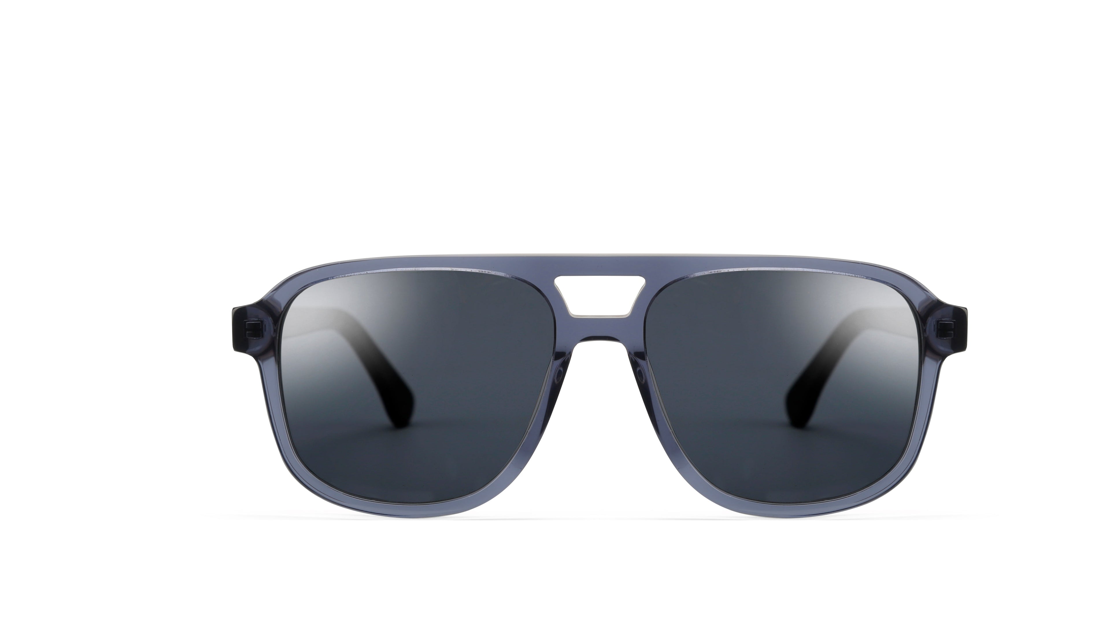 Unlimited Eyewear Lion