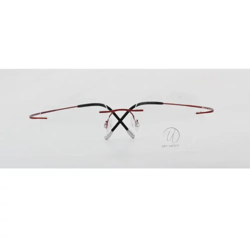 Stylish T016 Model Eyeglasses for Every Occasion.